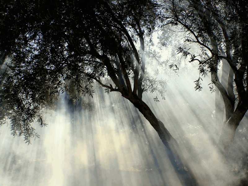 The Art of&nbsp;Connection